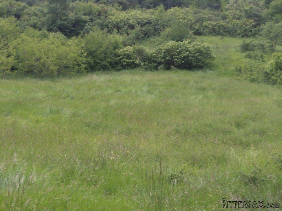 Istra zemljište za prodaju 19.285 m2 - 9