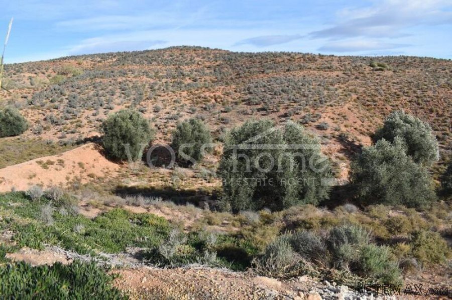 RESERVED MARCH 2022 WITH VOSS HOMES - Country Villa of.. - 18