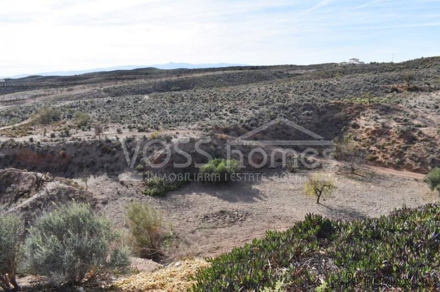 RESERVED MARCH 2022 WITH VOSS HOMES - Country Villa of.. - 19