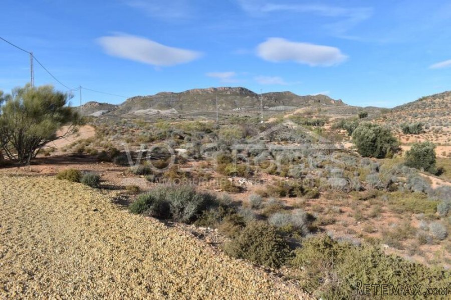 RESERVED MARCH 2022 WITH VOSS HOMES - Country Villa of.. - 20