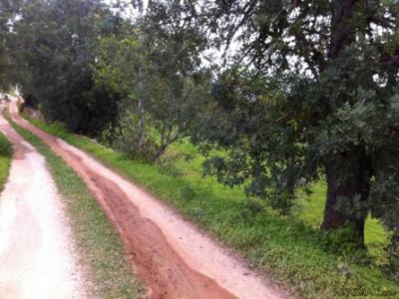 Plot with Good Access Ref.013 - 2