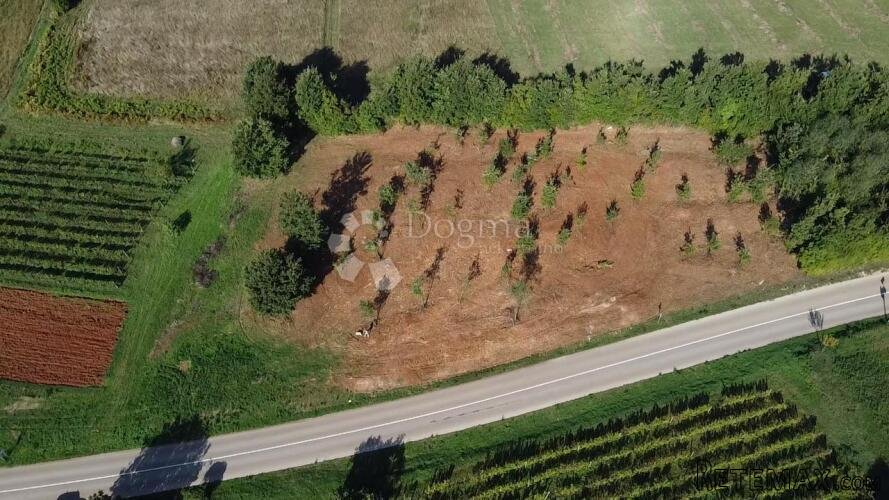 Građevinsko zemljište s pogledom na more, Barban
