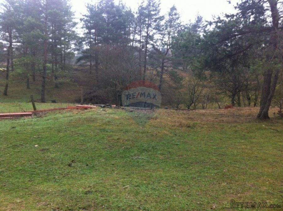RUPA - 15.789 m2 NEGRAĐEVINKO ZEMLJIŠTE - 2