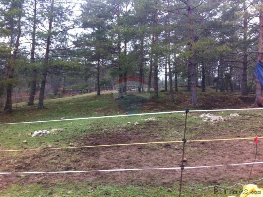 RUPA - 15.789 m2 NEGRAĐEVINKO ZEMLJIŠTE - 3