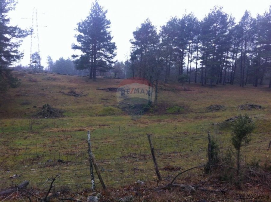 RUPA - 15.789 m2 NEGRAĐEVINKO ZEMLJIŠTE - 6