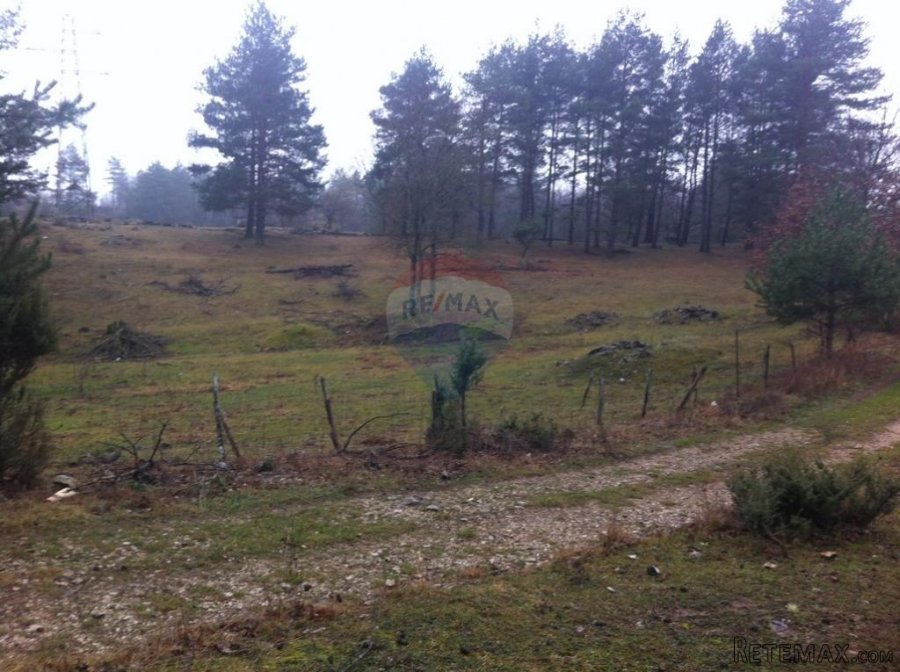 RUPA - 15.789 m2 NEGRAĐEVINKO ZEMLJIŠTE - 9