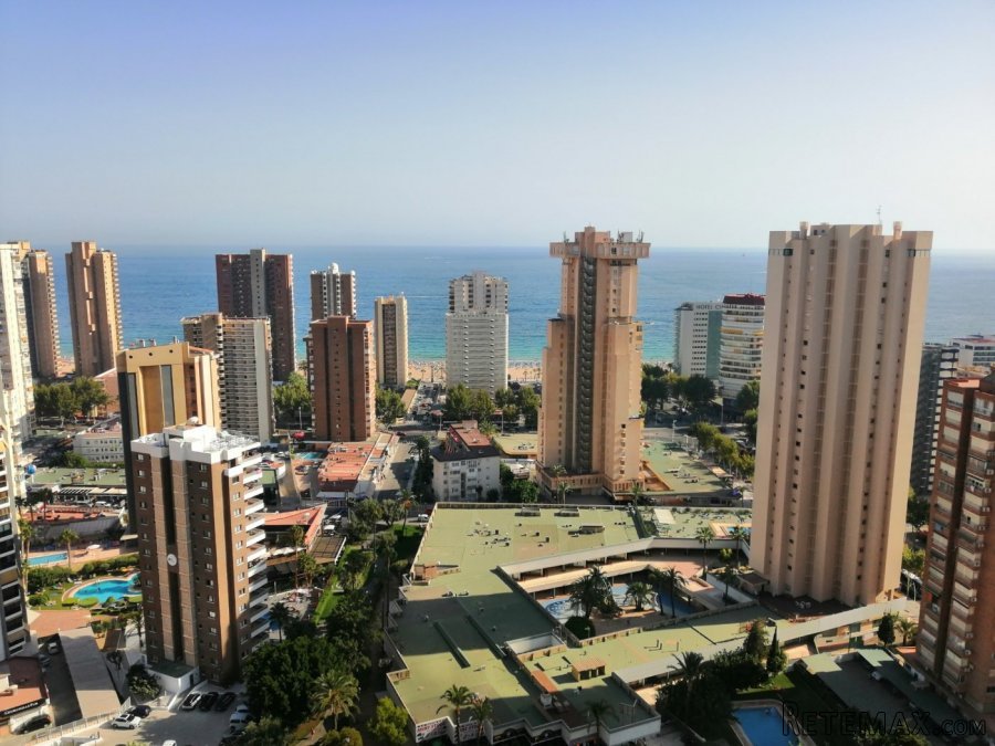 Apartamento - estudio en Benidorm zona Levante con vistas.. - 3