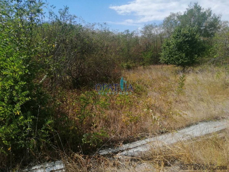 Poreč - Žbandaj - Građevinska parcela na dobroj lokaciji ! - 3