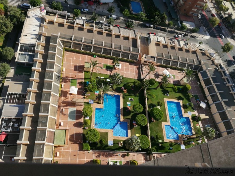 Apartamento - estudio en Benidorm zona Levante con vistas.. - 4