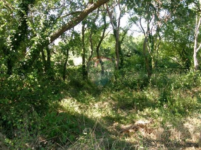Građevinsko zemljište sa ishodovanom građevinskom dozvolom - 4