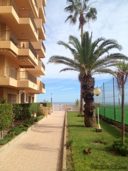 3 Bedrooms - Apartment - Alicante - For.. - 2