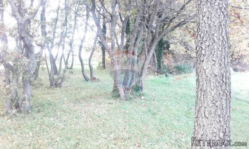 ISTRA, PULA, negrađevinsko zemljište 3km od strogog centra - 3