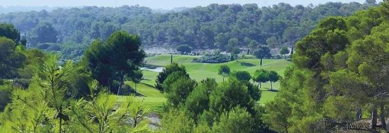 Land For Sale In Campoamor Spsnb0985