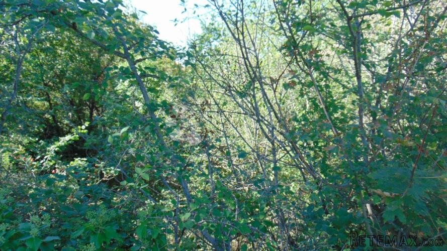 Veliko poljoprivredno zemljište u okolici Roča