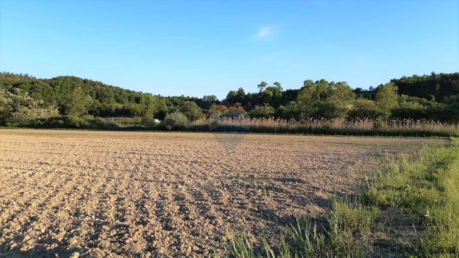 Istra, Cerovlje, poljoprivredno zemljište 18775m2 - 2