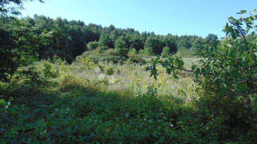 Poljoprivredno zemljište u okolici Roča