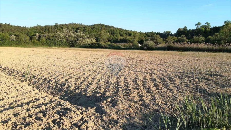 Istra, Cerovlje, poljoprivredno zemljište 18775m2 - 3