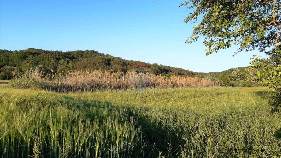 Istra, Cerovlje, poljoprivredno zemljište 18775m2 - 4