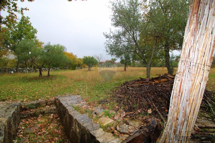 Rovinj,kuća 70m2 na velikoj okućnici-6500m2-za investiciju - 9