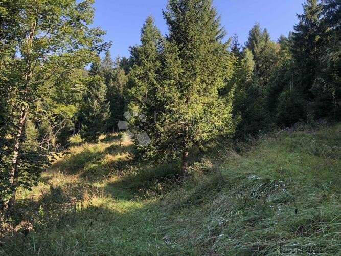 Atraktivno zemljište, Gorski kotar - 2