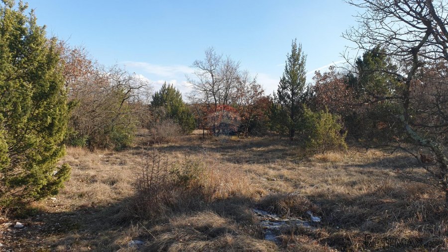 Istra, Juršići - poljoprivredno zemljište 19770 m2 - 2