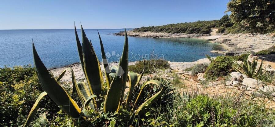 Poljoprivredno zemljište s pogledom na more - 250 m od plaže - 2