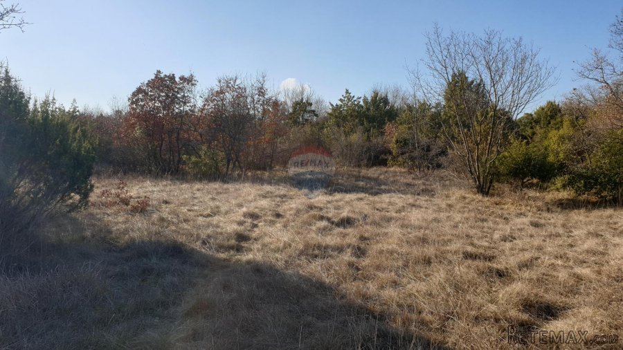 Istra, Juršići - poljoprivredno zemljište 19770 m2 - 3