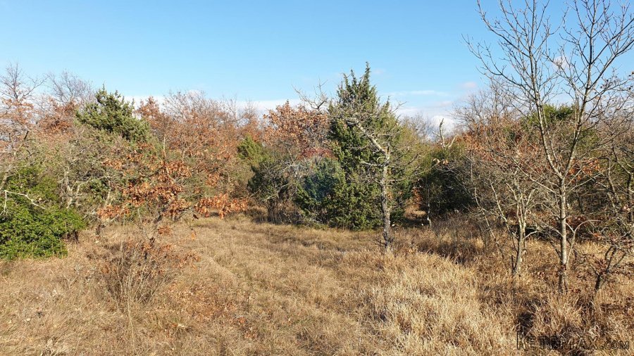 Istra, Juršići - poljoprivredno zemljište 19770 m2 - 4