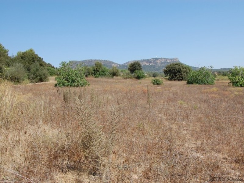 Rustic Land With Planning Permission - 2