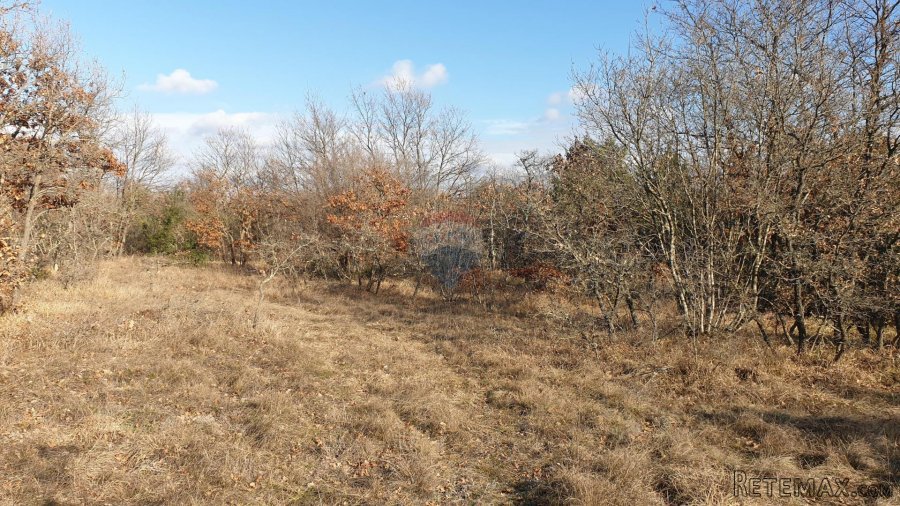 Istra, Juršići - poljoprivredno zemljište 19770 m2 - 5