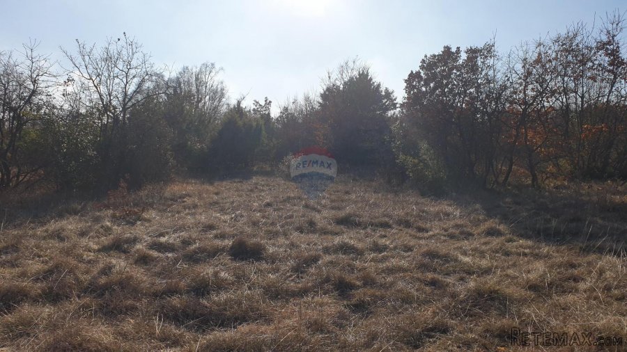 Istra, Juršići - poljoprivredno zemljište 19770 m2 - 6