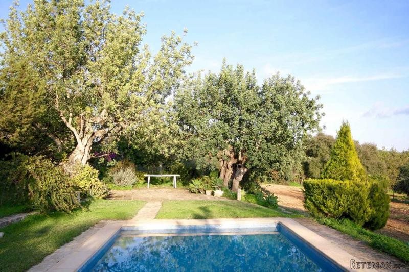 Country house with magnificent garden.. - 2