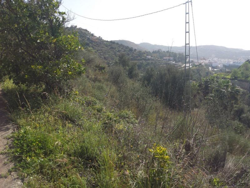Rural land for Sale in Torrox, Torrox..