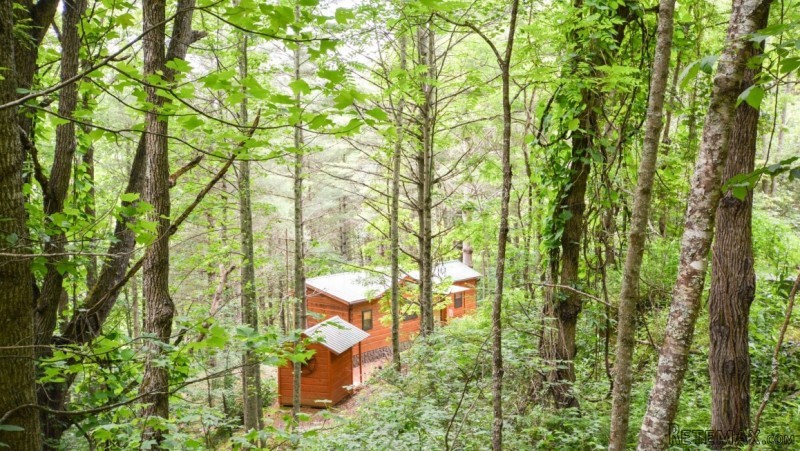 Private Riverfront Tiny Home NC