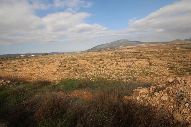 Building plot 48,000 M2 with Main water..