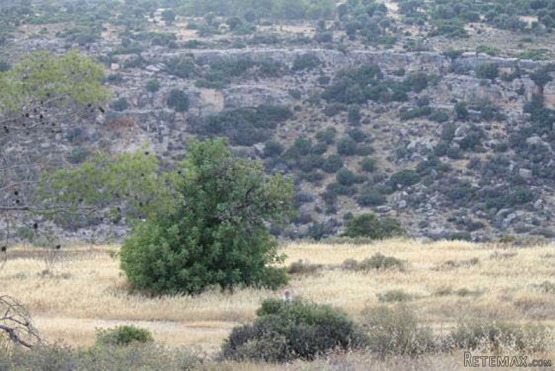 Land - Limassol - For Sale - 2