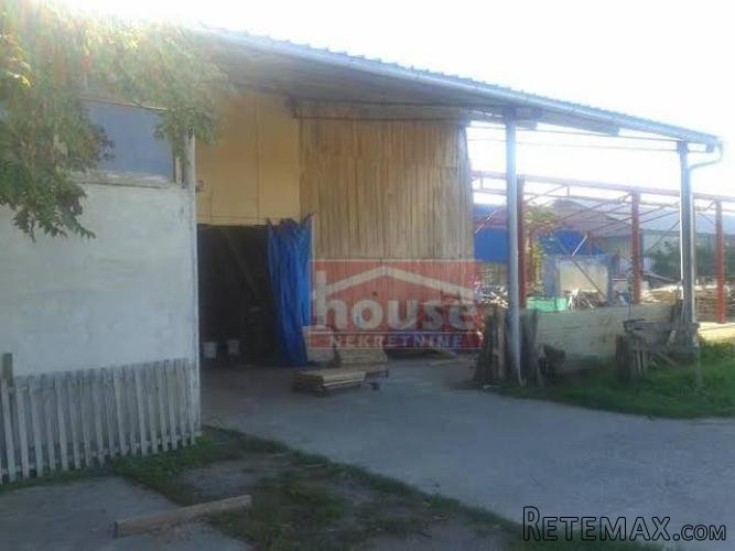 Agencijska oznaka 9103647, Backi jarak,izdajemo halu.. - 2