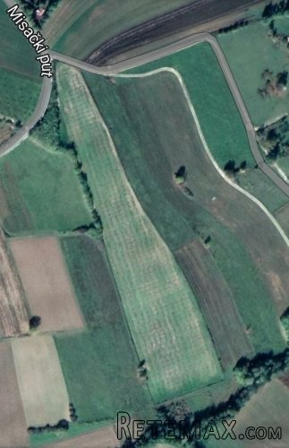 Na prodaju zasad lesnika povrsine 2ha - 2