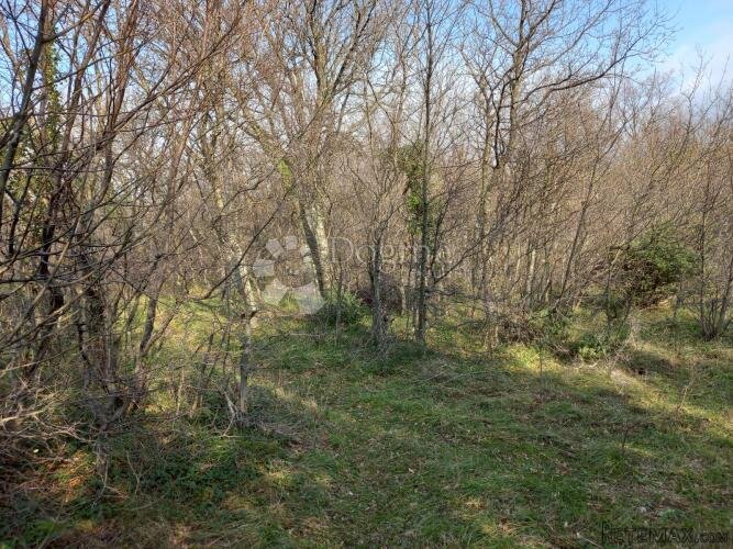 Kraljevica, građevinsko zemljište iznad Kraljevice - 3