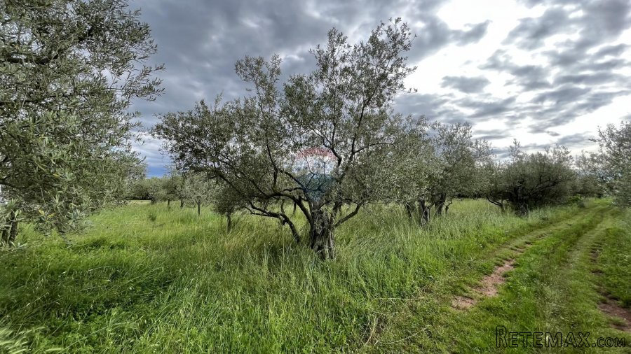 Vabriga - građevinsko zemljište turističke namjene - 3