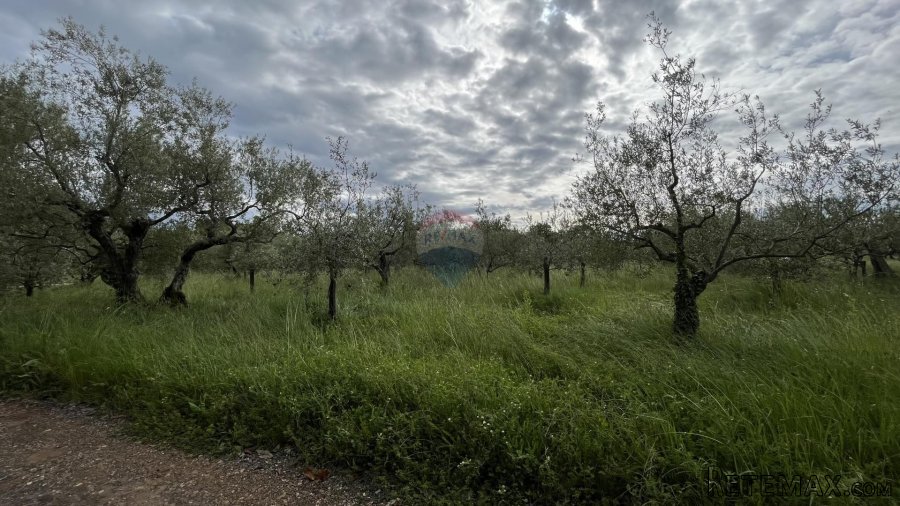 Vabriga - građevinsko zemljište turističke namjene - 4