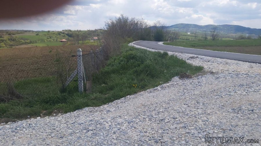 Na prodaju zasad lesnika povrsine 2ha - 9