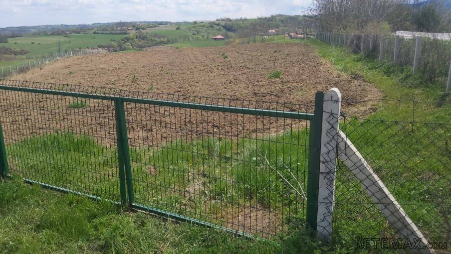 Na prodaju zasad lesnika povrsine 2ha - 10