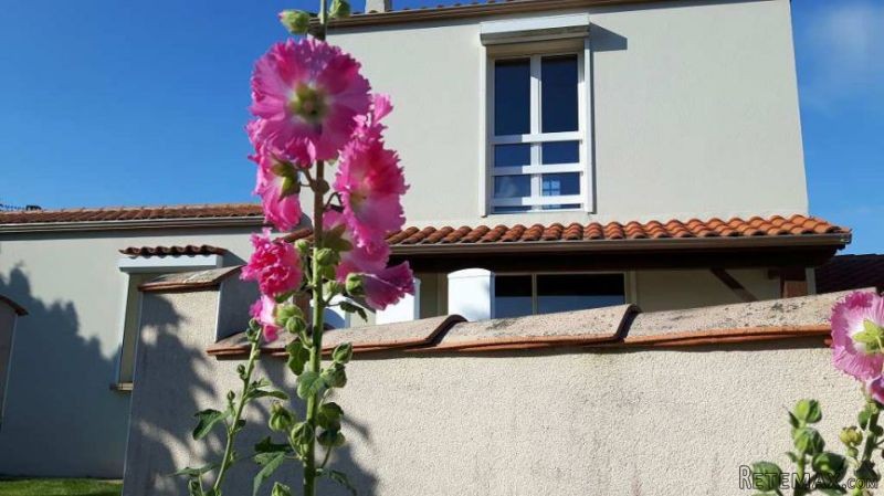3 Bedroom House on Atlantic Island - 2