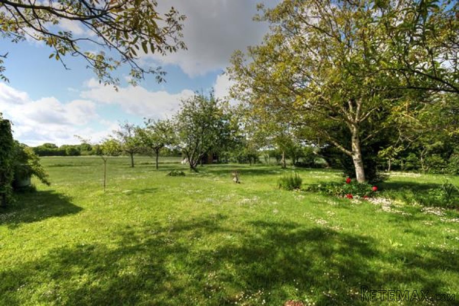 Civray (86) - Sous-sol property on the edge of the town, large.. - 3