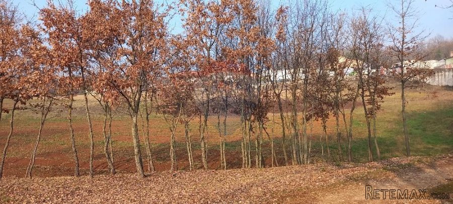 Okolica Pazina, građevinsko zemljište gospodarska zona - 6