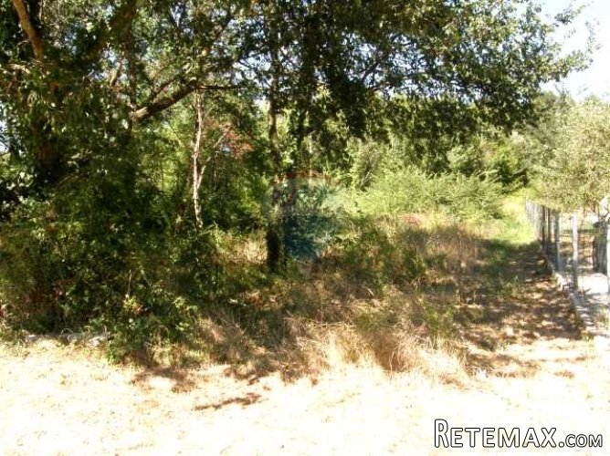 Građevinsko zemljište sa ishodovanom građevinskom dozvolom - 3
