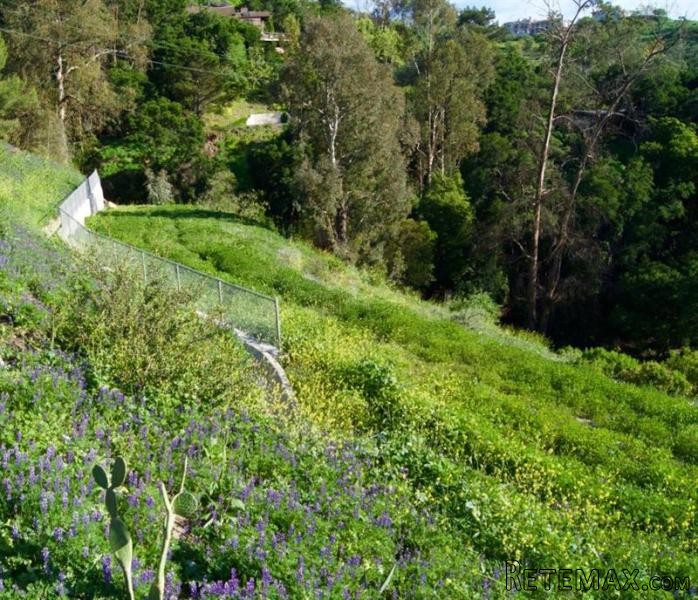 Land For Sale: 125 Canon View Rd