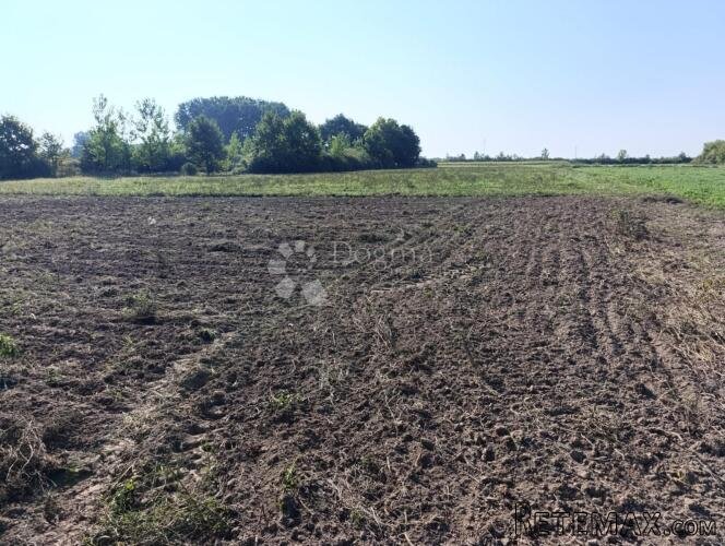Odlična prilika - poljoprivredno zemljište Đakovo - 3