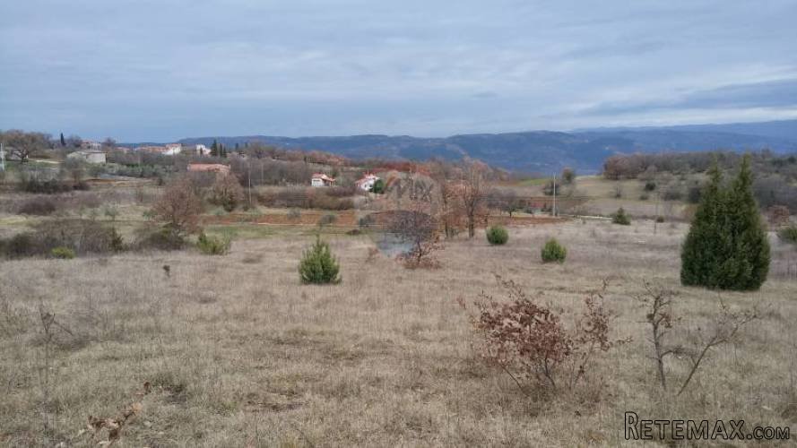 Karojba, poljoprivredno zemljište s maslinikom